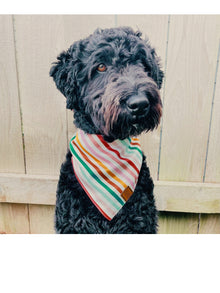 Fall Plaid Dog Bandana
