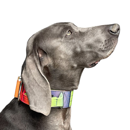 Tactical Dog Collar Rainbow Gradient (2"/ 5cm)