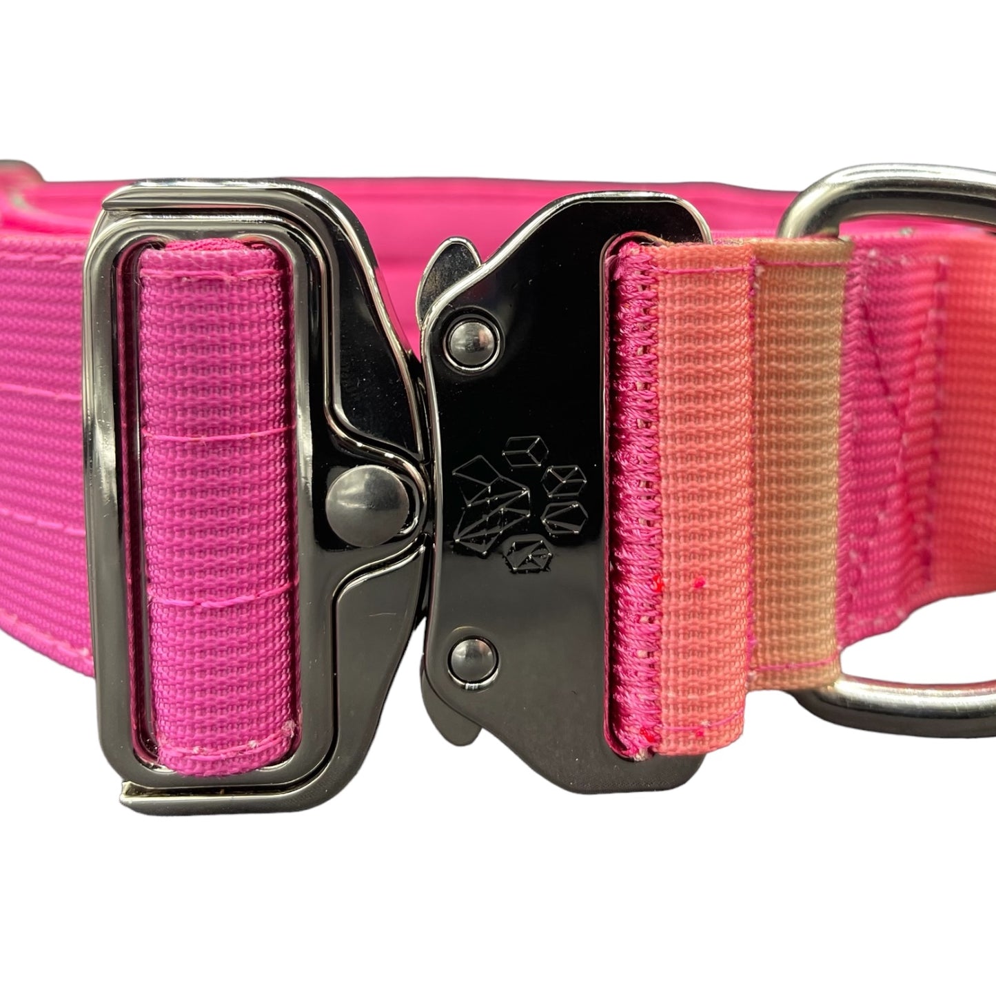 Tactical Dog Collar Rainbow Gradient (2"/ 5cm)