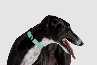 Black Koira Martingale Dog Collar – Essential Line